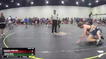 167 lbs Cons. Round 4 - Dalton Shelton, Palmetto vs Aidan New, Southern Wolves