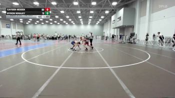 132 lbs Round Of 16 - Cayden Neisen, MN vs Byron Whaley, TN