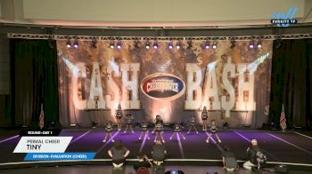 Primal Cheer - Tiny [2024 L1 Evaluation (Cheer) Day 1] 2024 Cheer Power Cash Bash Showdown Galveston