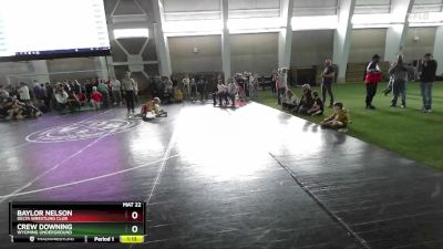 71 lbs Champ. Round 2 - Crew Downing, Wyoming Underground vs Baylor Nelson, Delta Wrestling Club