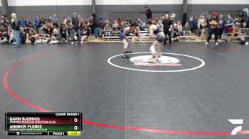 138 lbs Champ. Round 1 - Andrew Flores, FordDynastyWrestlingClub vs Gavin Bjorhus, Thunder Mountain Wrestling Club