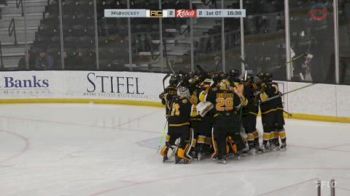 MUST SEE: Adrian Punches Ticket To ACHA Men's Division 1 Final With Dramatic OT Winner