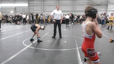 80 lbs Round 4 (6 Team) - Logan Dodge, Mitten Mayhem vs Camden Davich, Donahue WA
