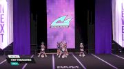 Tiny Treasures [2026 Day 2 Tiny--Div 1] 2026 Next Level Grand Nationals