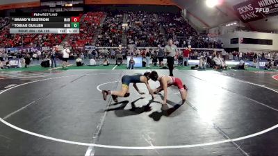 6A 106 lbs Semifinal - Tobias Guillen, Meridian vs Brand`n Edstrom, Madison