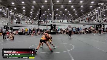 84 lbs Round 3 (8 Team) - Cole Palma Palma, Ohio Gold vs Noah Molina, Junior Terps Express