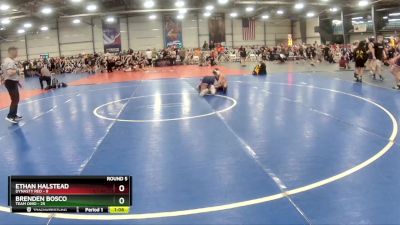 100 lbs Rd# 8- 12:30pm Saturday Final Pool - Brenden Bosco, Team Ohio vs Ethan Halstead, Dynasty RED