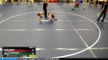 60 lbs Round 4 (6 Team) - Kinley Pederson, Lakeville vs Jack Hogan, New Prague