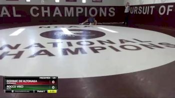125 lbs Quarterfinal - Rocco Visci, RCTC vs Dominic De`altonaga, Augsburg