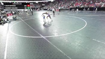 D2-120 lbs Cons. Round 1 - Julio Estrada, Sheboygan Falls vs Garrett DeLong, Saint Croix Central