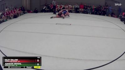 173 lbs Round 3 (8 Team) - Kiley Dillow, Kansas Pink Gecko vs Addison Arvdal, Nebraska Blue