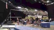 Cheyanne Braun - Women's Group, Laketown Gymnastics - 2021 Women's Xcel Region 4 Championships