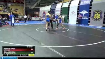 113 lbs Champ. Round 1 - Peyton Parn, Brookfield vs Dillan Chisam, St. Pius X (Kansas City)