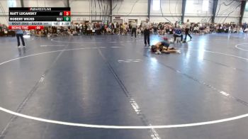 Silver 141 lbs Champ. Round 1 - Matt Lucansky, Augustana (IL) vs Robert Wicks, Rochester Community & Tech. College