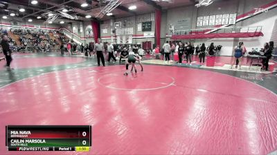 95 lbs Champ. Round 1 - Mia Nava, Birmingham vs Cailin Marsola, South Hills