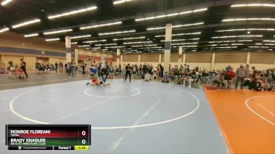 92 lbs Semifinal - Monroe Floreani, Texas vs Brady Knadler, NB Elite Wrestling Club