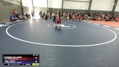 85 lbs Round 3 - Camden Gillaspie, Elma Wrestling Club vs Teia Cazac, Ascend Wrestling Academy