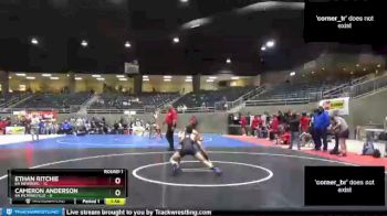 120 lbs Round 1 (4 Team) - Ethan Ritchie, 6A Newberg vs Cameron Anderson, 6A McMinnville