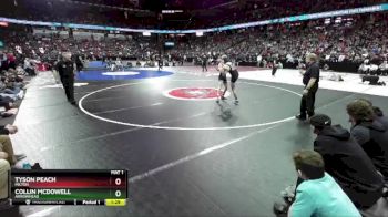 D1-138 lbs Semifinal - Collin McDowell, Arrowhead vs Tyson Peach, Milton