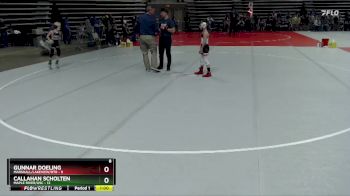 65 lbs Semis & 1st Wrestleback (8 Team) - Gunnar Doeling, Marshall/Lakeview/RTR vs Callahan Scholten, Maple River/USC