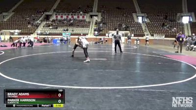 120 lbs Cons. Round 1 - Parker Harrison, Elberta HS vs Brady Adams, Tallassee