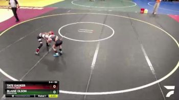 55 lbs Champ. Round 1 - Blaine Olson, Princeton vs Tate Gauker, Mankato West