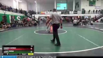 160 lbs Quarterfinal - Lane Ewing, Douglas vs Hazen Camino, Buffalo