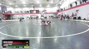 133 lbs Cons. Round 5 - Caiden Pelc, Newberry vs Devin Gomez, Western Colorado