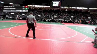 55 lbs Champ. Round 1 - Declan Mitchell, DWC3 vs Dino OMalley, BOM2