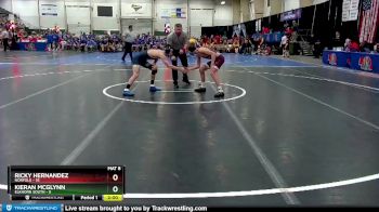 113 lbs Quarterfinals (8 Team) - Ricky Hernandez, Norfolk vs Kieran McGlynn, Elkhorn South