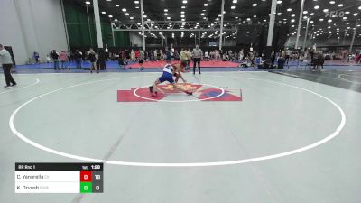 134 lbs Rr Rnd 1 - Caden Yanarella, Conestoga Valley vs King Orvosh, Superior High School