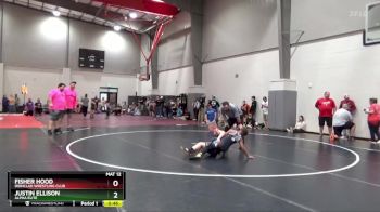 105 lbs Semifinal - Justin Ellison, Alpha Elite vs Fisher Hood, Ironclad Wrestling Club