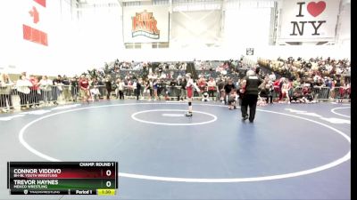 99 lbs Champ. Round 1 - Trevor Haynes, Mexico Wrestling vs Connor Viddivo, BH-BL Youth Wrestling