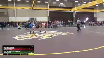 149 lbs Quarterfinal - Austin Smith, Ohio Northern vs Anthony Miraglia, Alfred State