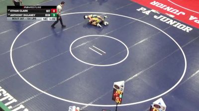 124 lbs Round Of 32 - Ethan Clark, Mifflinburg vs Anthony Dulaney, Brownsville