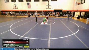 182 lbs Cons. Round 2 - Aj Hernandez, Hoffman Estates (CONANT) vs Cameron Fultz, New Lenox (PROVIDENCE CATHOLIC)