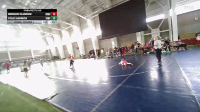 46 lbs Cons. Round 1 - Cole Harmon, Payson Lion Wrestling Club vs Benson Klunker, RWC- Roy Wrestling Club