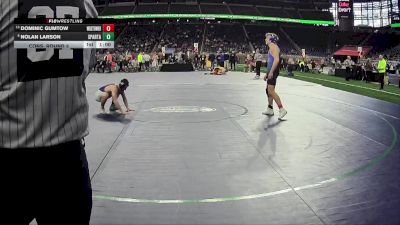 D2-138 lbs Cons. Round 3 - Dominic Gumtow, Warren Woods-Tower HS vs Nolan Larson, Sparta HS