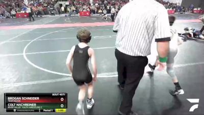 81 lbs Champ. Round 1 - Colt Nachreiner, River Valley Youth Wrestling C vs Brogan Schneider, Team Nazar