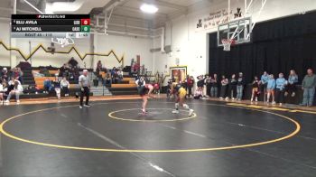 115 lbs Quarterfinal - AJ Mitchell, Cascade vs Elli Avila, Lisbon