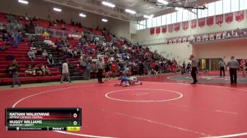 106 lbs Semifinal - Nathan Walkowiak, Detroit Catholic Central vs Huggy Williams, Olentangy Liberty