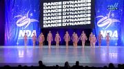 Dance Dynamics - Mini Elite Large Contemporary/Lyrical [2025 Mini - Contemporary/Lyrical - Large Day 1] 2025 NDA All-Star National Championship