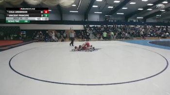 133 lbs Quarterfinal - Cole Anderson, Kings vs Vincent Principe, Stevens