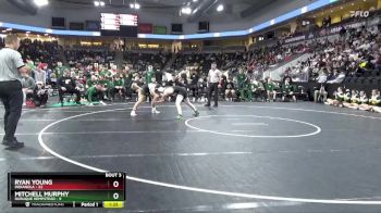 132 lbs Quarterfinal - Ryan Young, Indianola vs Mitchell Murphy, Dubuque Hempstead