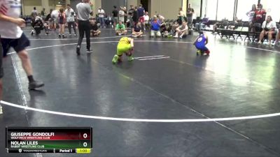 80 lbs Quarterfinal - Nolan Liles, Rabbit Wrestling Club vs Giuseppe Gondolfi, Wolf Pack Wrestling Club