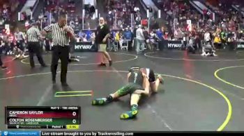 100 lbs Champ. Round 1 - Colton Rosenberger, Wildcat WC - Lakeview vs Cameron Saylor, NBWC