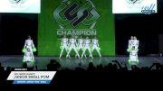 No Limits Dance - Junior Small Pom [2025 Junior - Pom - Small Day 1] 2025 CSG Dance Grand Nationals