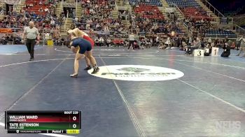 189 lbs Semifinal - William Ward, Fargo North vs Tate Estenson, Devils Lake