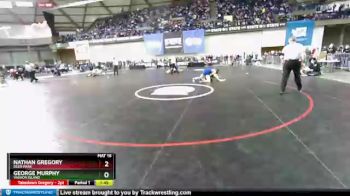 1 lbs Quarterfinal - George Murphy, Vashon Island vs Nathan Gregory, Deer Park