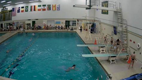 Replay: Diving - 2024 Green & Gold Meet | Sep 21 @ 10 AM